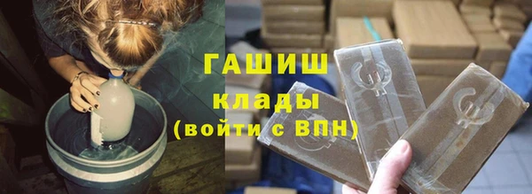 твердый Бородино