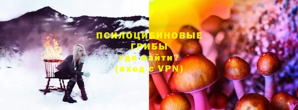 твердый Бородино