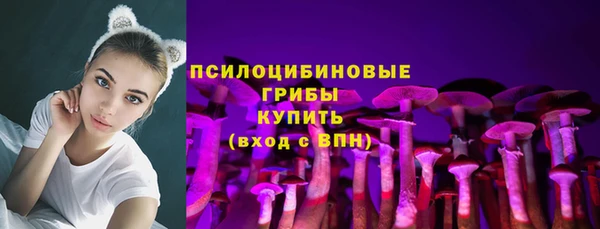 бошки Богородицк