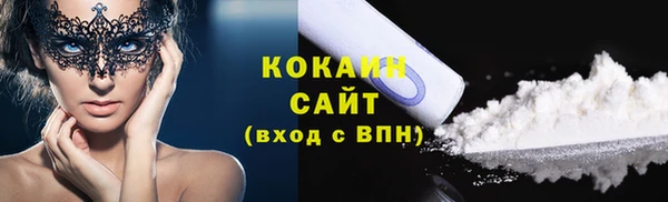 твердый Бородино