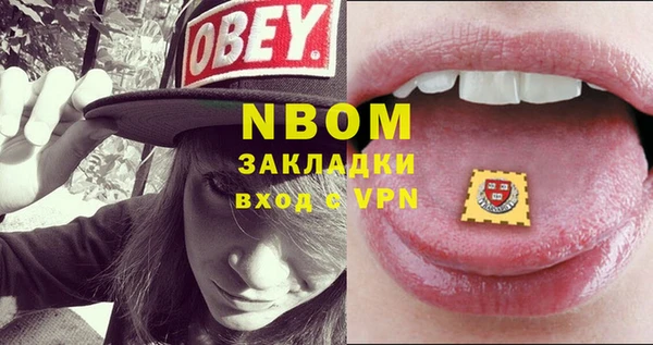 твердый Бородино